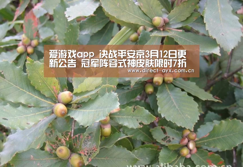 爱游戏官网