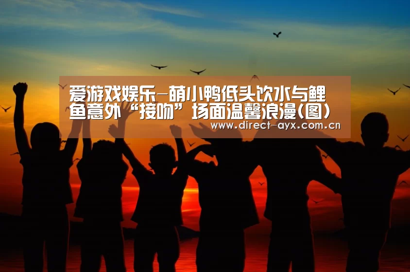 爱游戏娱乐-萌小鸭低头饮水与鲤鱼意外“接吻”场面温馨浪漫(图)(图2) 爱游戏直播