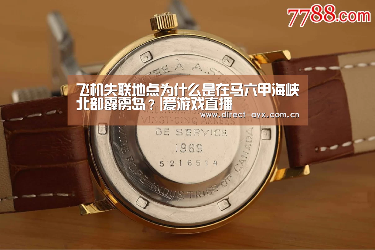 飞机失联地点为什么是在马六甲海峡北部霹雳岛?|爱游戏直播(图3) 爱游戏官网