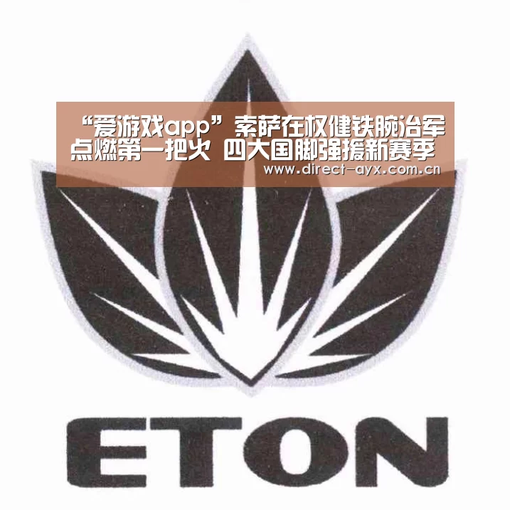 “爱游戏app”索萨在权健铁腕治军点燃第一把火 四大国脚强援新赛季都已遭弃用(图4) 爱游戏娱乐