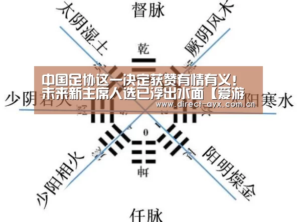 中国足协这一决定获赞有情有义!未来新主席人选已浮出水面【爱游戏直播】(图1) 爱游戏app