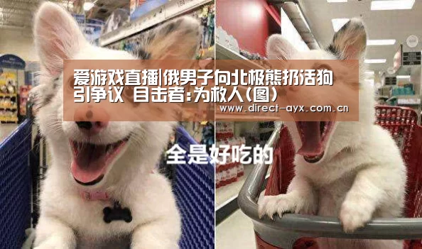 爱游戏app