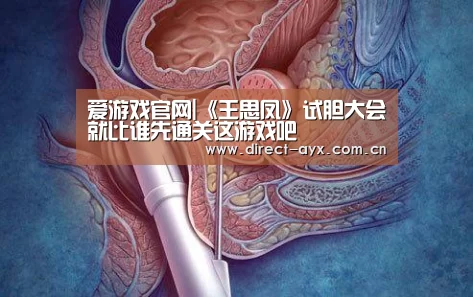 爱游戏官网